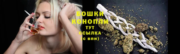mdpv Белая Холуница