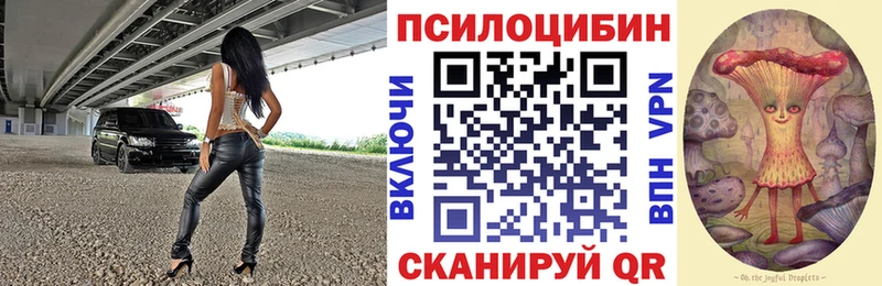 закладки  Тотьма  kraken маркетплейс  Псилоцибиновые грибы Psilocybe 