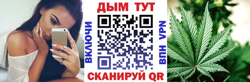 Бошки Шишки ГИДРОПОН Тотьма